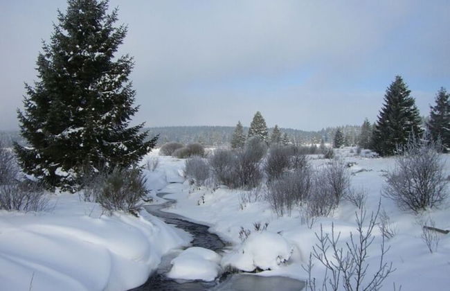 Scenic Villa Near Lake View - Photo 35