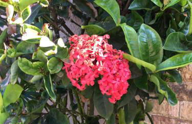 Casa Aconchegante Brisa do Mar - Praia do Foguete - Cabo Frio - Foto 10