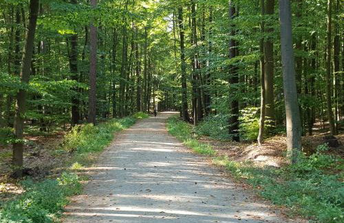 Morskie Opowieści - Foto 75