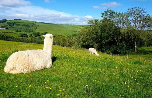 HOBLEY House Holiday - Foto 23