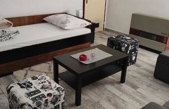 TP Apartman 1 - Photo 13