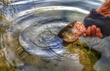 Apartmani Galić - Foto 26