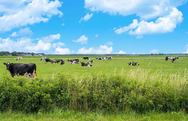 Lodge in Hattemerbroek Near Veluwe Forest - Foto 41