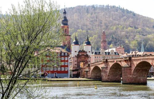 Apart-Hotel-Kick - Foto 34