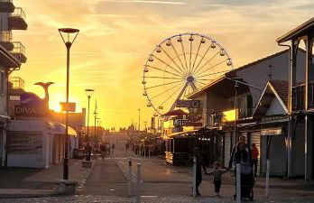 Palm Appart - Foto 11