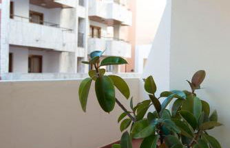 Apartamentos Ripoll Ibiza - Foto 34