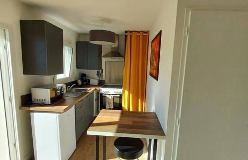 Studio avec terrasse et jardin à 100 m de la plage de Fort Bloqué - Foto 4