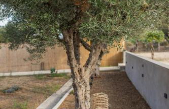 Topos Suites - Photo 64