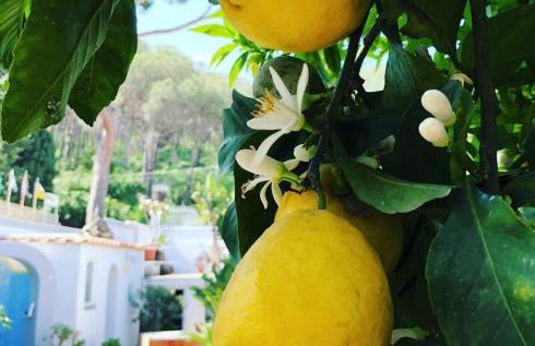 Villa Calù - Foto 4