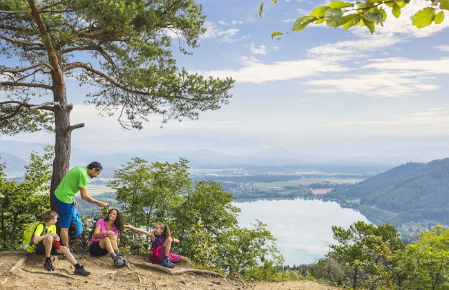 Lush Apartment in Sankt Michael ob Bleiburg - Foto 78