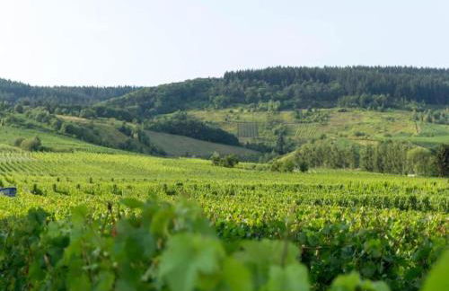 Romantischer Aufenthalt mit Blick auf den Weinberg - Foto 31