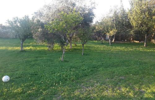 Villa Margherita - Foto 21