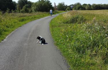 Bauernhof Südfrersbüll - Foto 16