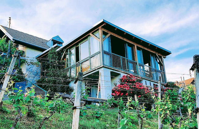 Vineyard cottage Verček - Photo 13