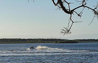 Apartamento 103 Praia do Ervino - SFS - Photo 56