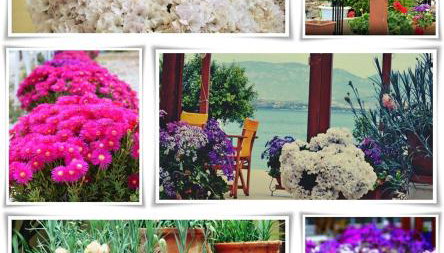 Almare (Δίκλινο Δωμάτιο 2) - Foto 2