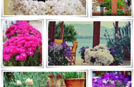 Almare (Δίκλινο Δωμάτιο 2) - Foto 2