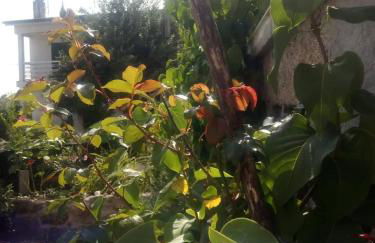 Casinha de Lamares - Foto 9