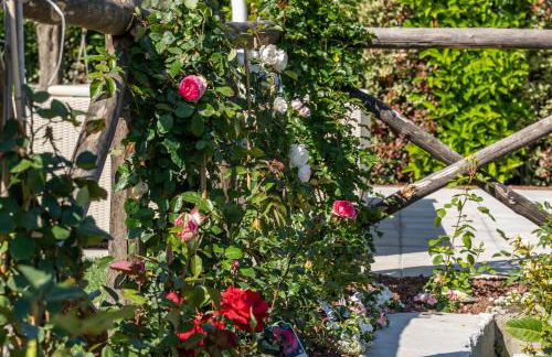 Dimora Delle Rose in Massa Lubrense - Foto 106