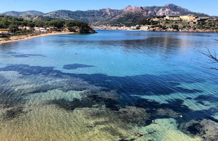 Casa Anto Isola d'Elba -Spiaggia - Foto 3