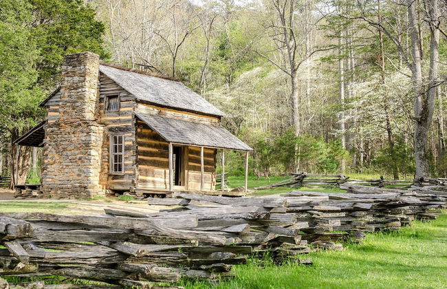 Swiss Bear Haus - Photo 36