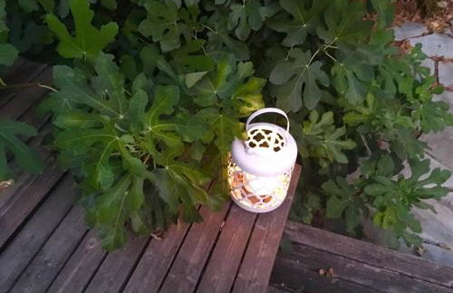 Jackson Star, A MidCentury Dream - Photo 29