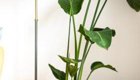 T2 Lumineux au Centre d 'Orsay Proche Gare RER - Foto 4