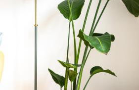 T2 Lumineux au Centre d 'Orsay Proche Gare RER - Foto 4