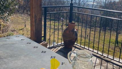 Vergel San Pedro - Foto 5