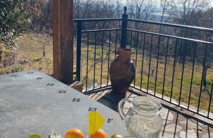 Vergel San Pedro - Foto 5