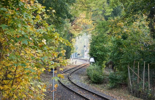 Holiday Homes in the Schierke Harzresort, Schierke - Photo 79