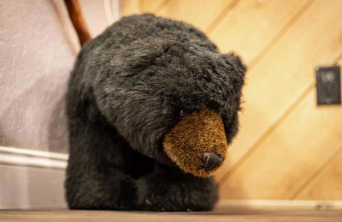 Ski In, Ski Out! 3 BDR Steps From Stagecoach Lift - Photo 15