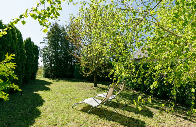 Mathias Rex - Foto 13