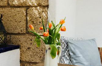 Casa Jable Roja - Foto 7