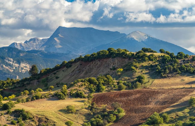 The House Olympia - Foto 29