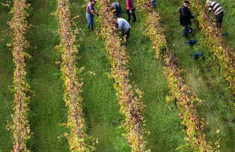 Wine Resort Villagrande - Foto 44