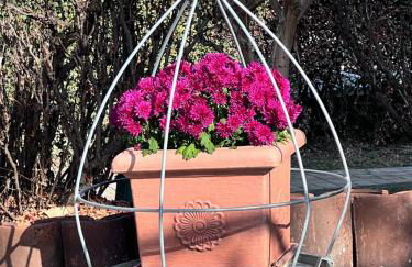 Villa Lilli Beta Bella - Appartamento Rosso Whispering Vines - Foto 7