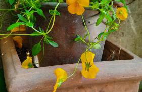 San Lorenzo 66 - Foto 3