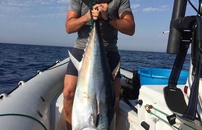 Elimo Affittacamere di Scardino Leonardo - Foto 33