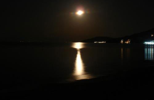 Dinos Green Place - Photo 41