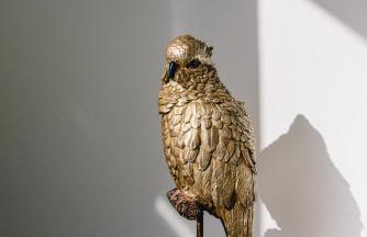 Terra X Apartments - Foto 16