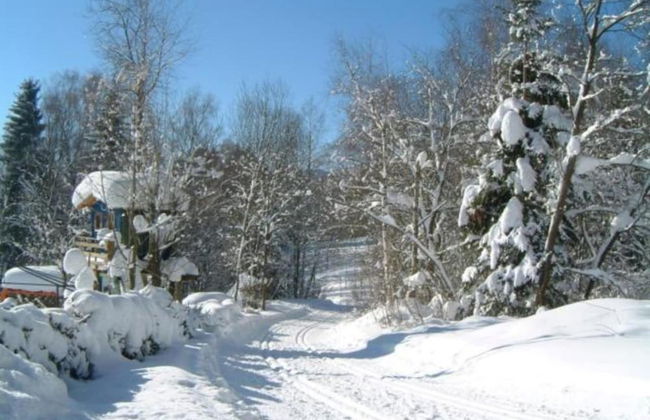 Chalet in Kollnburg Near St. Englmar Ski Area - Photo 36