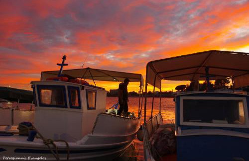 Garden house - Photo 51