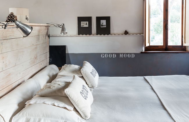 Fattoria San Martino - Photo 35