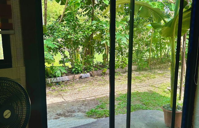 Sobral Rice Terraces View - Foto 64