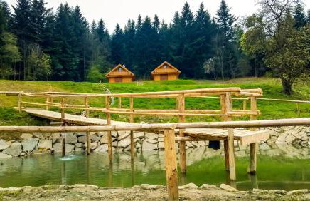 Domki w Kasinie - Foto 24