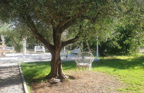 Tenuta Oliva - Foto 25