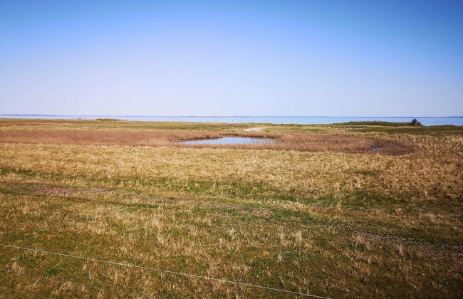 4 Person Holiday Home in Aeroskobing-by Traum - Foto 7