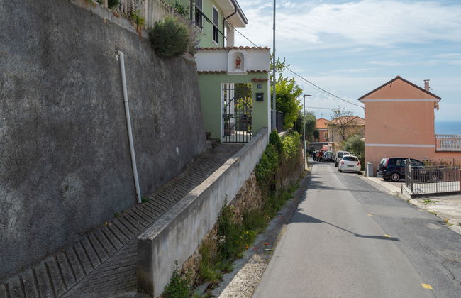 Toni (TZR240) - Foto 17