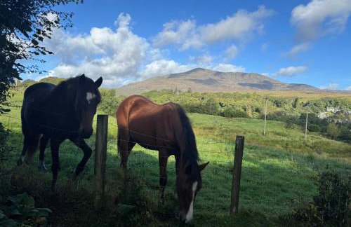 Snowdonia Eryri Cottage, Moel Siabod - Foto 6